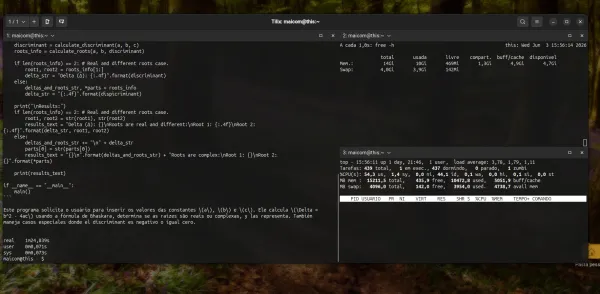 Modelo phi4-mini teste com ollama e prompt de equação do segundo grau